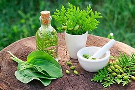 Herbal Remedies for Prostate Cancer