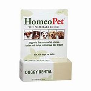 Dog Bad Breath Causes