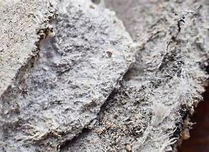Asbestos Health Concerns