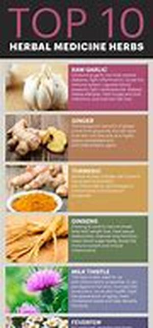 Herbal Detoxification