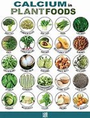 Food High in Vitamin B12
