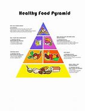 Guide to a Fit Body