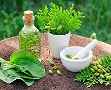 Natural Health Supplements For Mental, Physical And Social Health