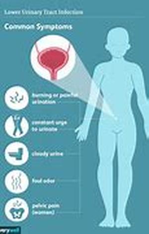 Black Cohosh: The Estrogen Alternative