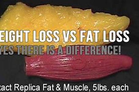 Weight Loss Tip 6: Using Antioxidants in Your Weight Loss Program