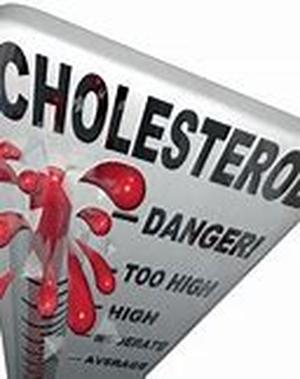 Keyword phrase  Cholesterol Ratio