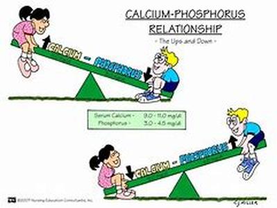 Too much and too low - calcium levels  Calcium is a mineral vital for the development of healthy bones and teeth
