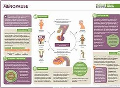 Menopause and Progesterone