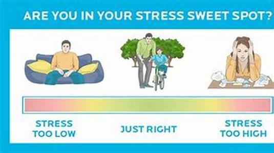 Good Dental Insurance Not Only Protects Your Teeth, But Also Your Overall Health