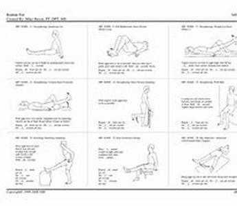 Caring for Your Pet with Physical Therapy for Dogs