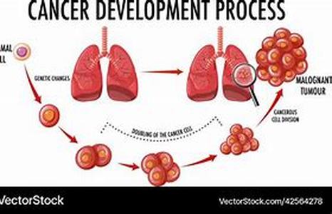 An Introduction to Acne Problems