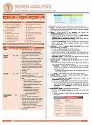 Lecithin Supplements