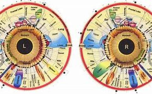 What Is Homeopathy