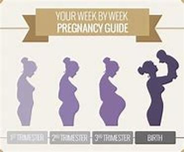Pregnancy Back Pain