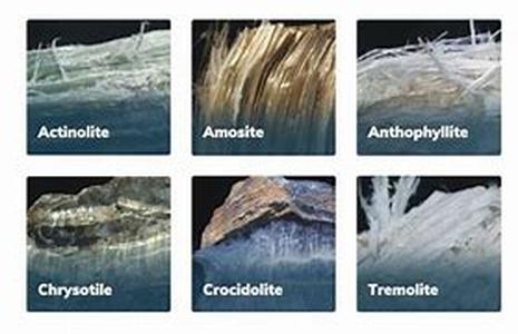 Asbestos Lung Mesothelioma  The main cause of asbestos lung mesothelioma, as its name implies, is the mineral fiber, called asbestos