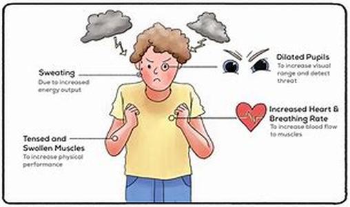 Symptoms And Problems: Cirrhosis Of The Liver