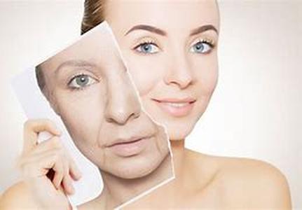 Anti-Aging Facts  Myths