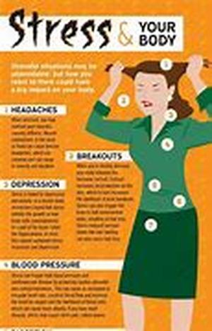 How Useful Are Vitamins