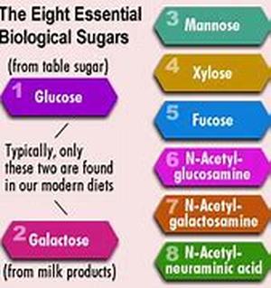 Glucose Meter For Diabetics - How To Use Them Correctly
