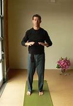 Healing Through Spiritual Medicine