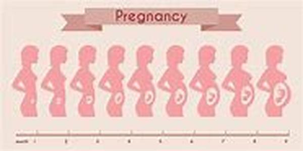 Key Words: pregnancy and obesity