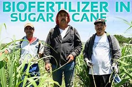 Organic Fertilizer Distributors
