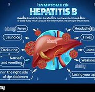 What makes wine more protective against Cholesterol and Coronary Heart Disease
