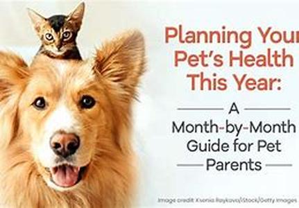 Pet Health Insurance in the USA
