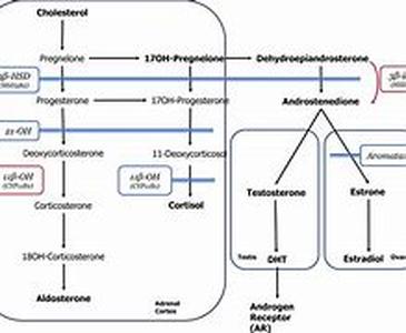 Inflammation: The New Medical Bad Guy
