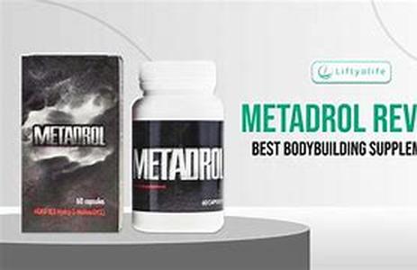 Body Building Forums
