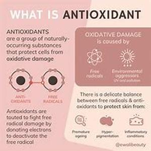 Antioxidant Foods