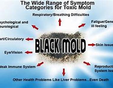 What Is The Most Effective Way To Stop Smoking