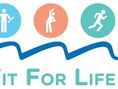Fitness Rowers Reviews