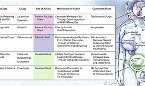 Aloe Vera Remedies