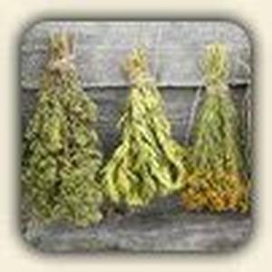 One Can Buy Imitrex Online and Get Relief From All Headaches