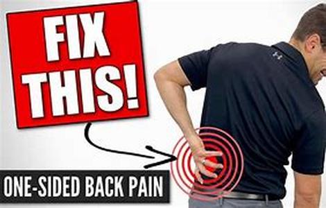 Back Exercises  Strengthen Your Back