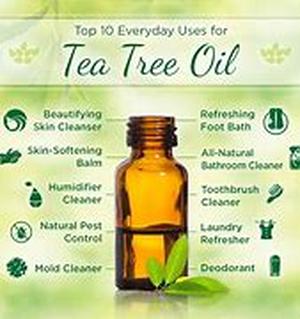 Taste the Pleasure of a Healthy Body with Weight Loss