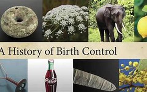 The Hepatitis B virus