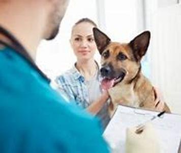 Long Term Disability Insurance