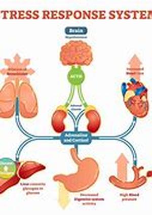 Can Nutrition Help Slow Down the Aging Process