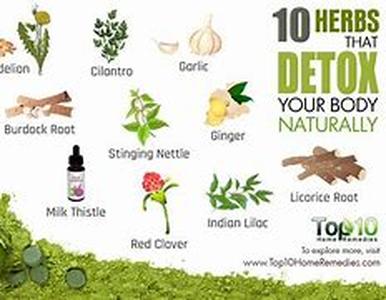 Herbal Aphrodisiac