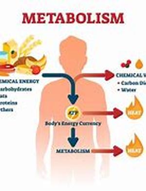 Mesotherapy Medicine: Effective Cellulite Treatment or Snake Oil