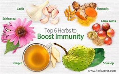 Detox Diet: A Basic Understanding