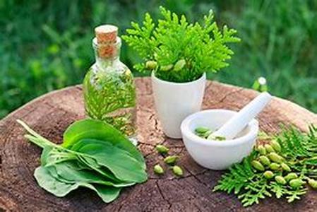 Herbal dietary supplements