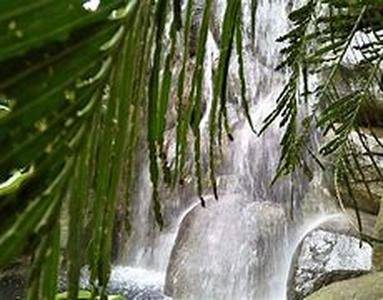 Congenial Conditions To The Healthy Growth of Plants Part II