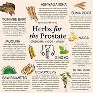 Herbal Plant