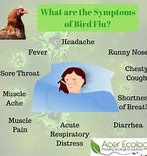 Why Worry About Menopause