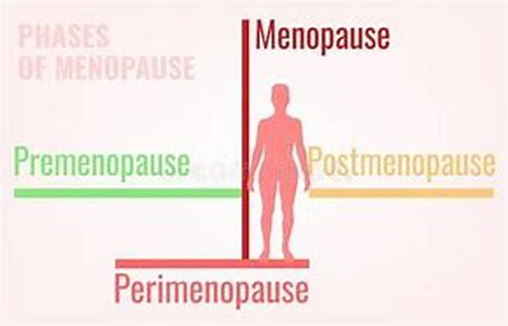 Menopause and Weight Loss