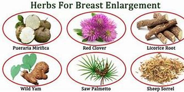 Herbal Wraps