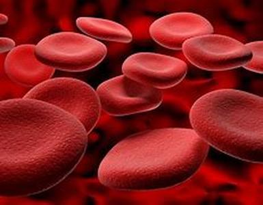 Blood-building Formula